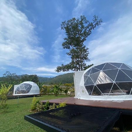 ホテル Cosy Garden Khao Sok Khao Sok National Park エクステリア 写真